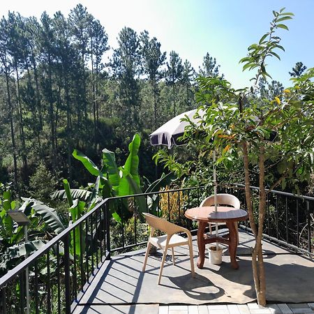 Silver Dome Guest House Ella Extérieur photo